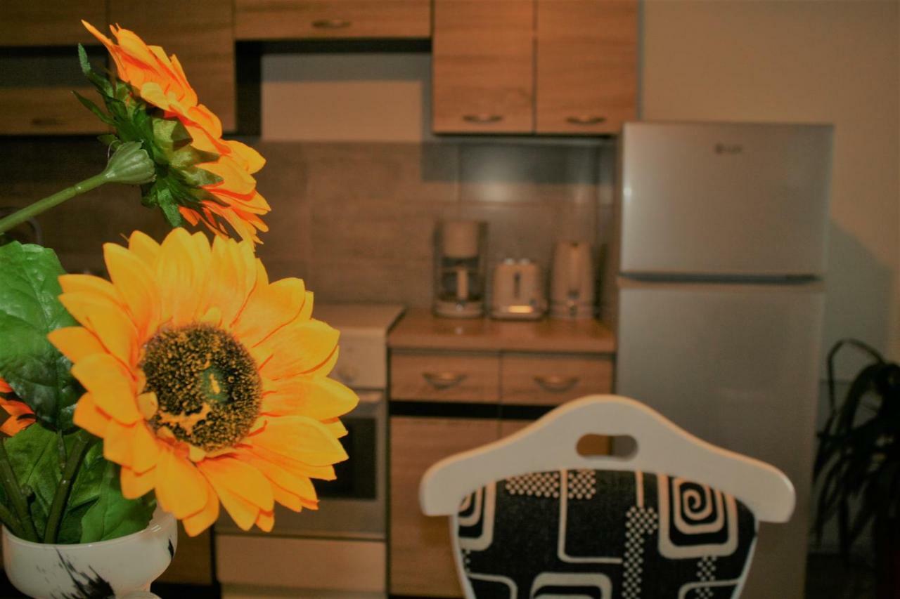 Casa Peterfi - Apartment With 3 Bedrooms And Spacious Living Room Târgu-Mureş Exteriér fotografie